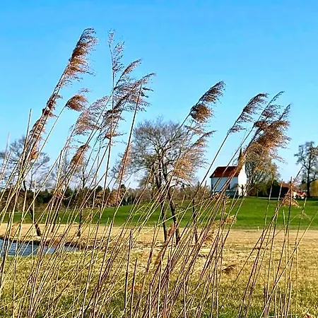 Moorhof 호텔 4*