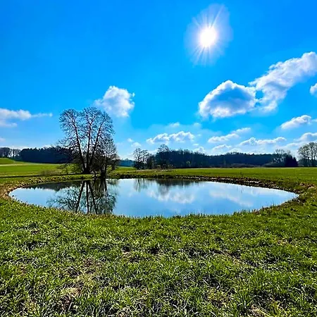 호텔 Moorhof 4*