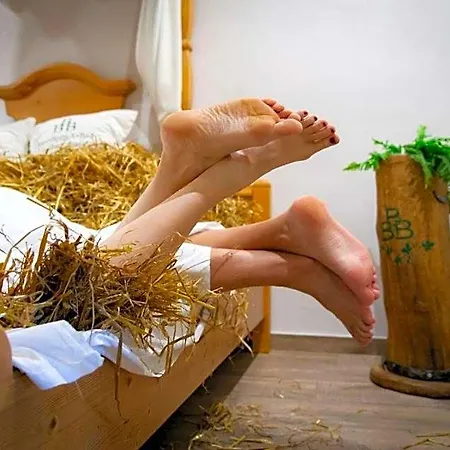 Moorhof 프랑킹