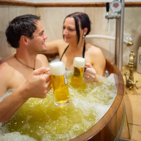 酒店 沼泽酒店 Franking